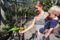 Philip and Mommy feeding the lorikeets